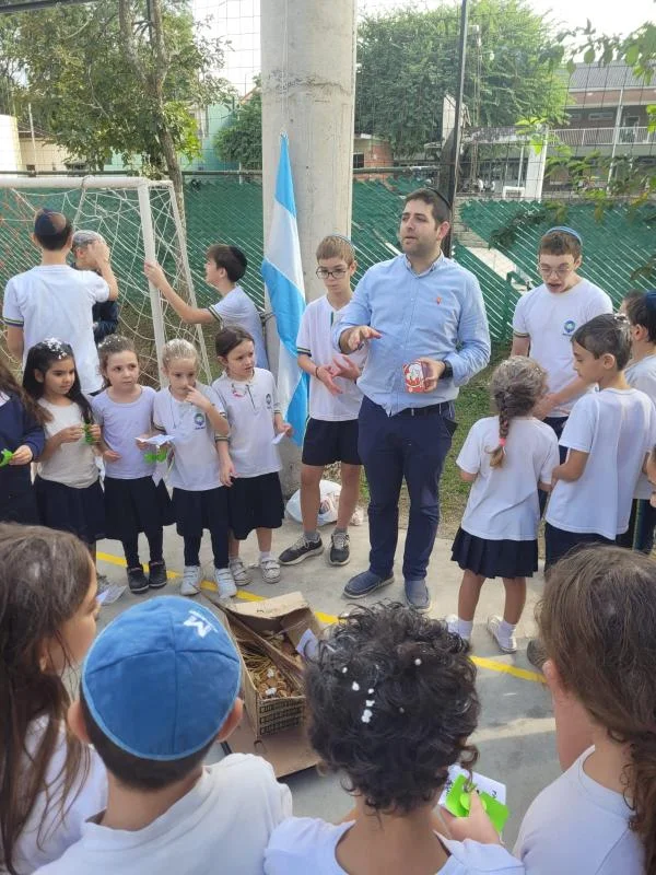 ✈️ Volando Alto ✈️ - תמונת גלריה